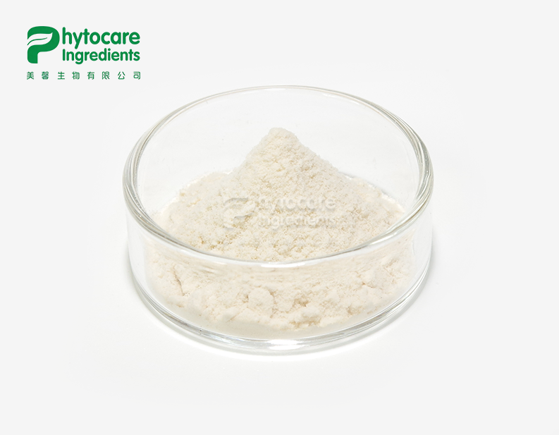 Sodium Acetylated Hyaluronate Powder